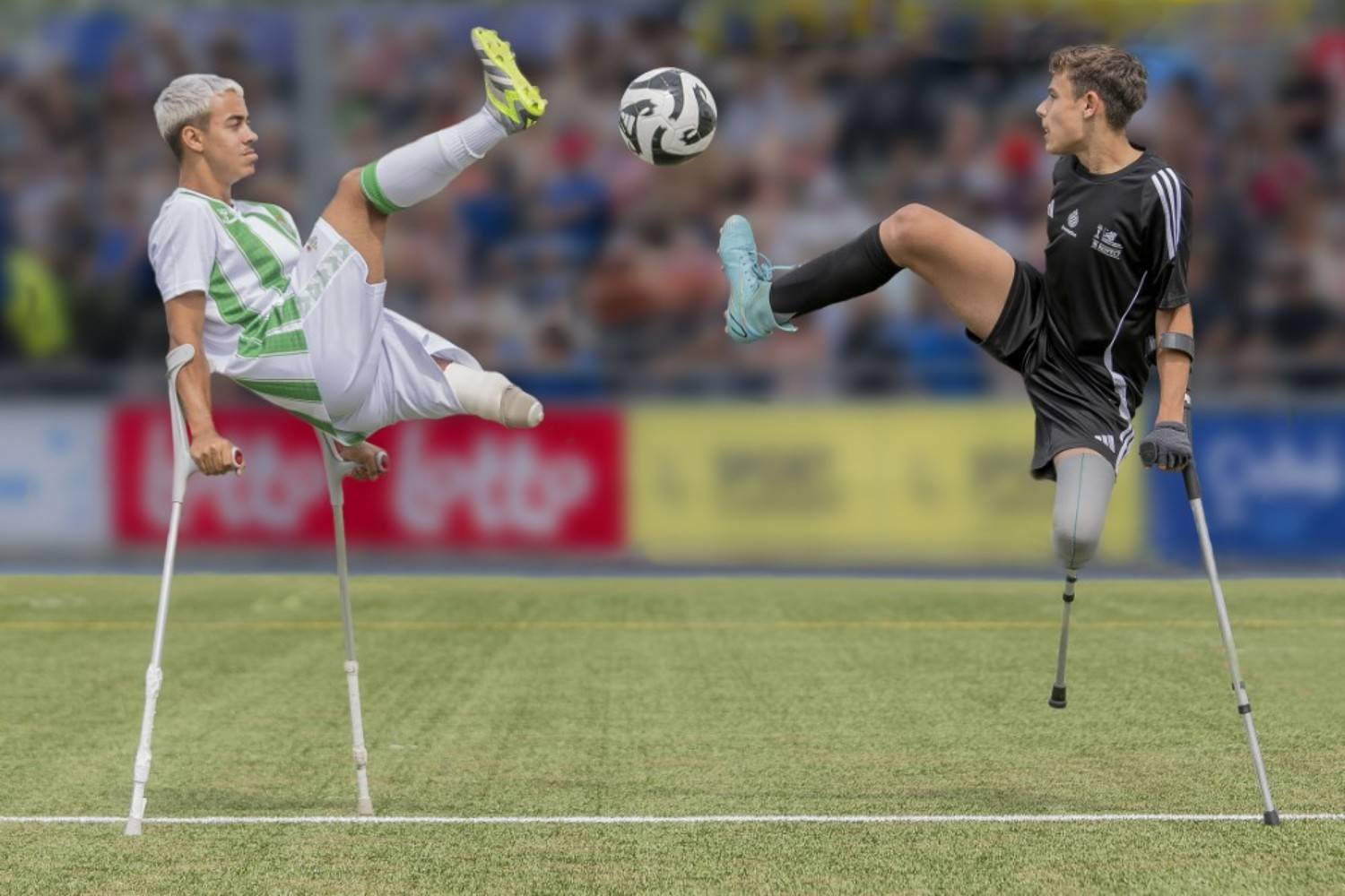 ampfoot, eric tkindt