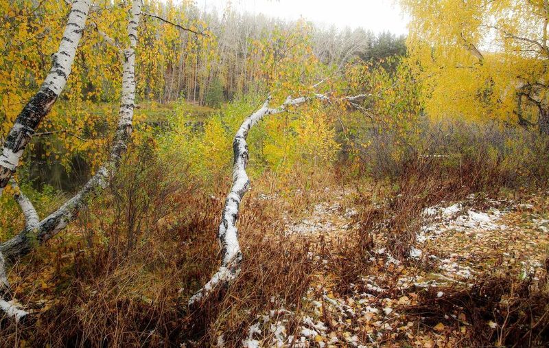 Осень Майорского пруда фото превью