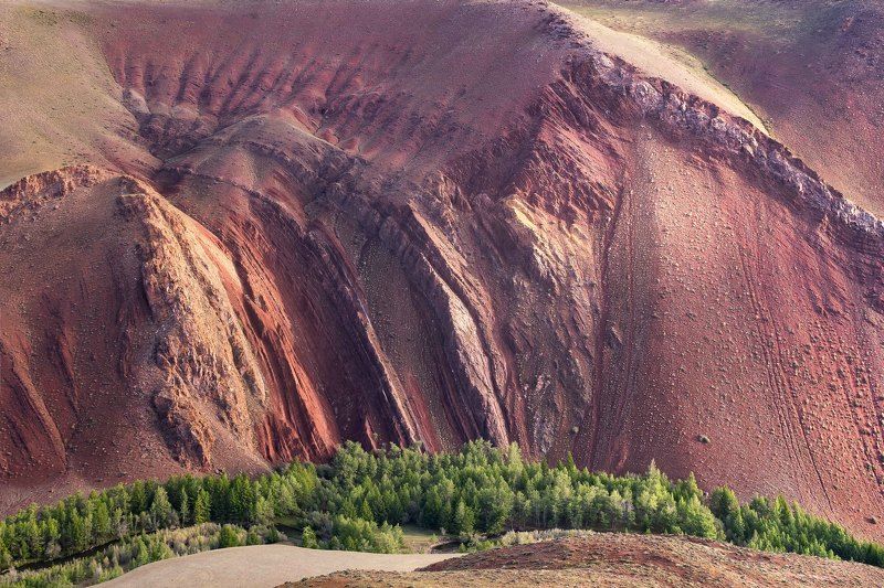 Багровые берега долины Кызылшин… Crimson banks of the Kyzylshin valley… фото превью