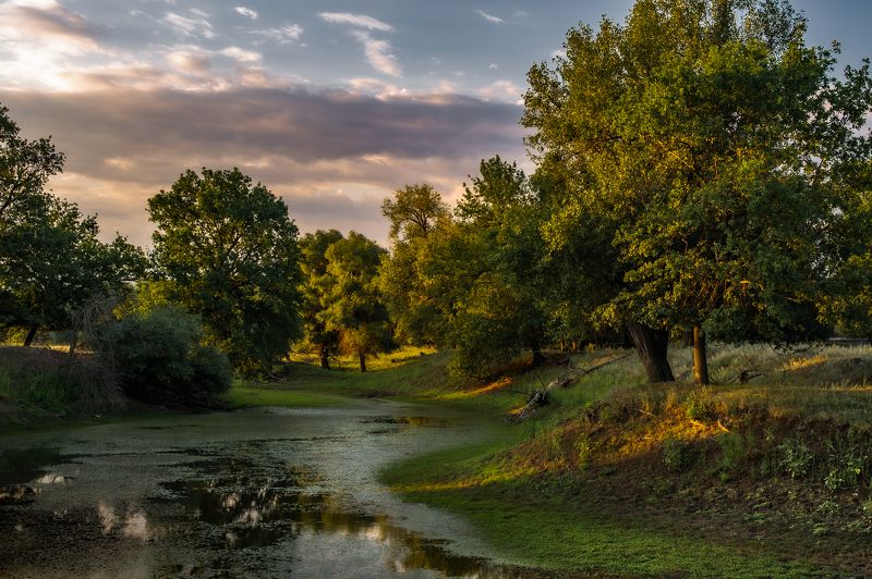 Вечер фото превью