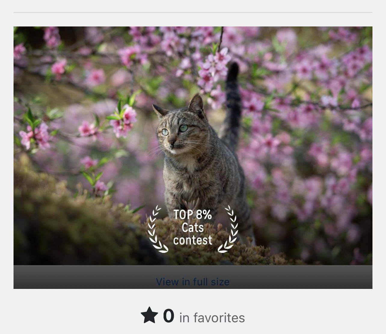 , SƠN T&Ugrave;NG NGUYỄN