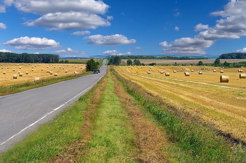 август, поле, дорога Август фото превью