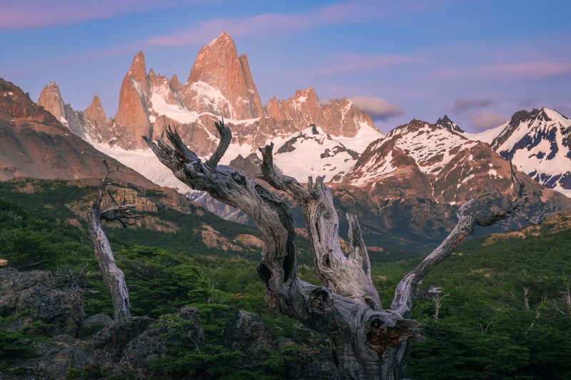 фицрой, патагония, аргентина, горы, рассвет Перед рассветом фото превью