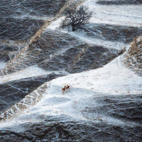 Два одиночества