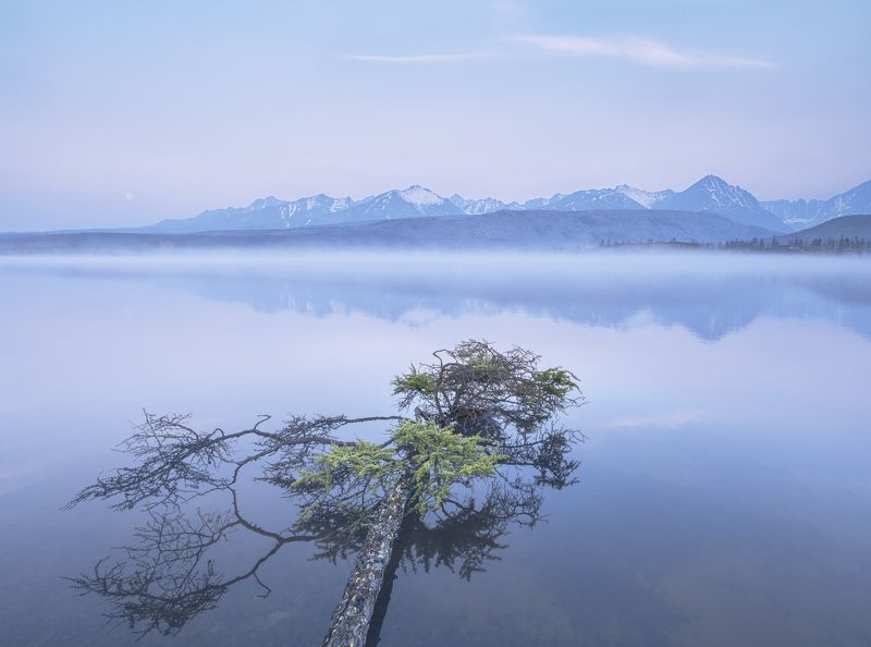 Синее безмолвие фото превью