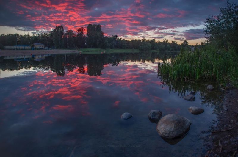 природа, царское село, царское, питер, landscape, tsarskoyeselo, нижний парк, отднльный парк, городской пейзаж Август в Царском Селе фото превью