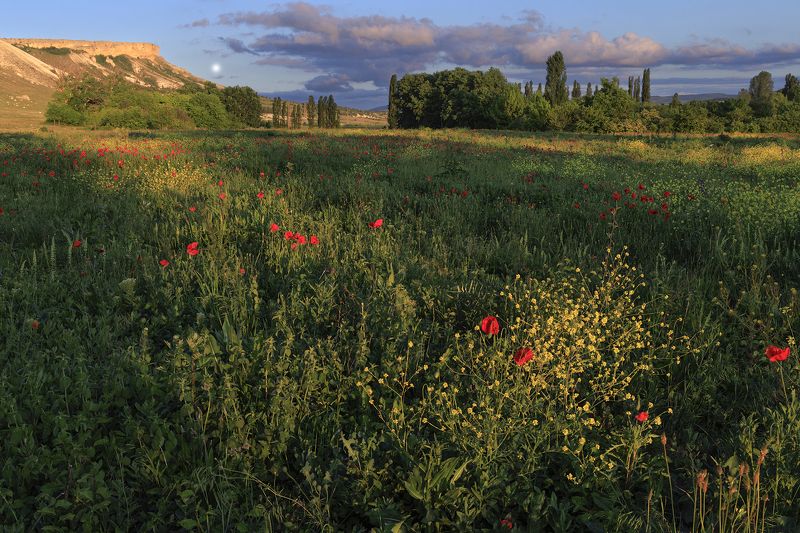 фото превью