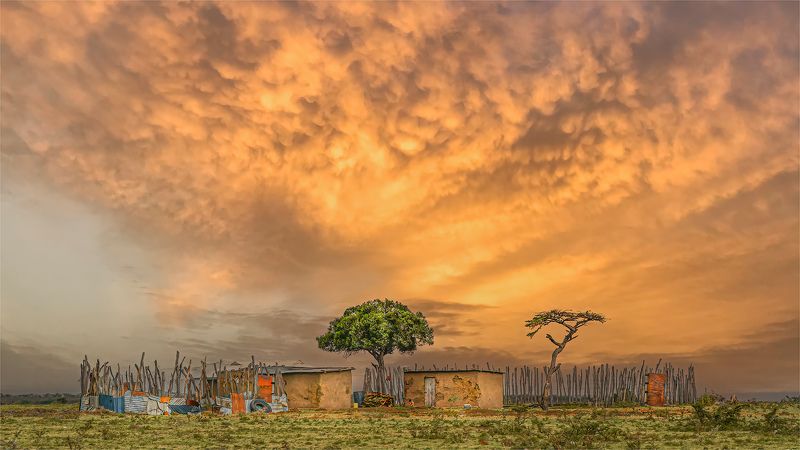 Life in a Boma  фото превью