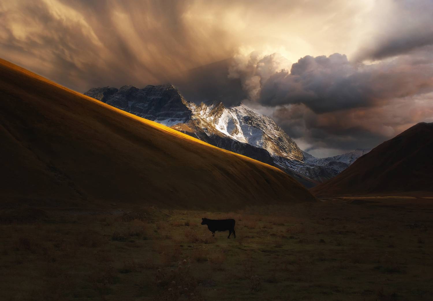 , Глухарёва Ольга