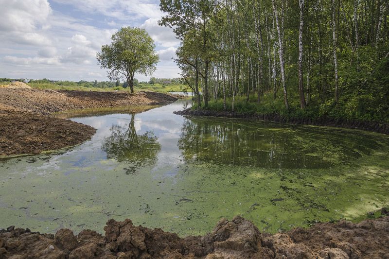 архангельское, фёдоровский пруд, освоение земель Архангельское. Освоение земель фото превью