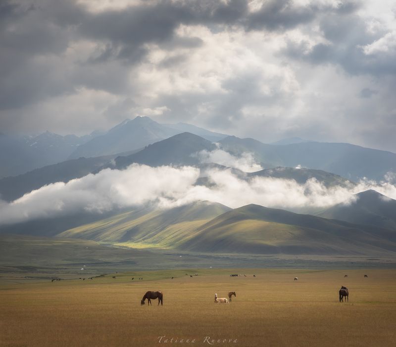 Идиллия фото превью