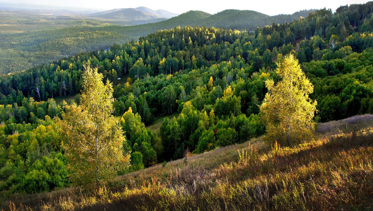 , Ушаков Валерий