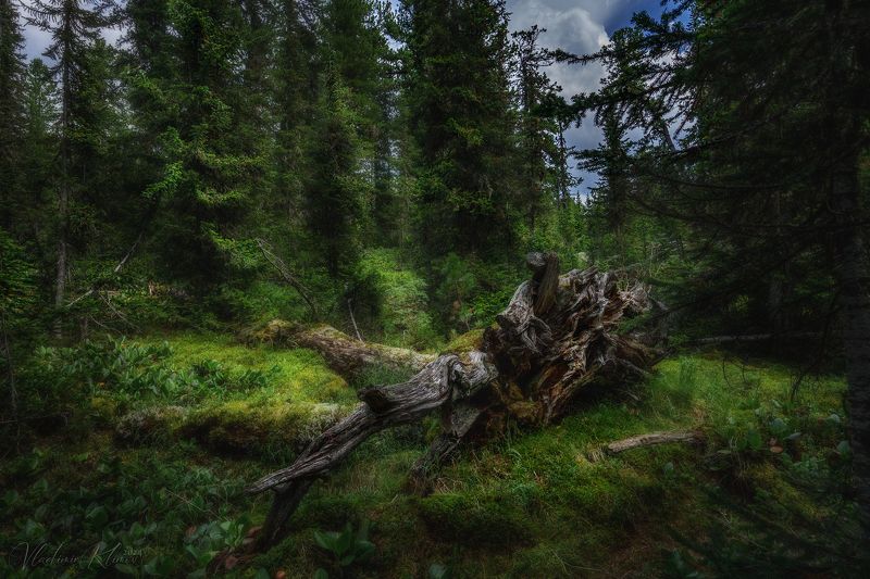 ...и немножко неба! фото превью