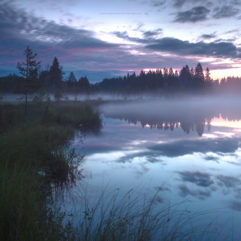 луга, ленобласть, пейзаж, рассвет, туман,  landscape, nature, природа, foggy, forest, болото, ленинградская область К полночи фото превью