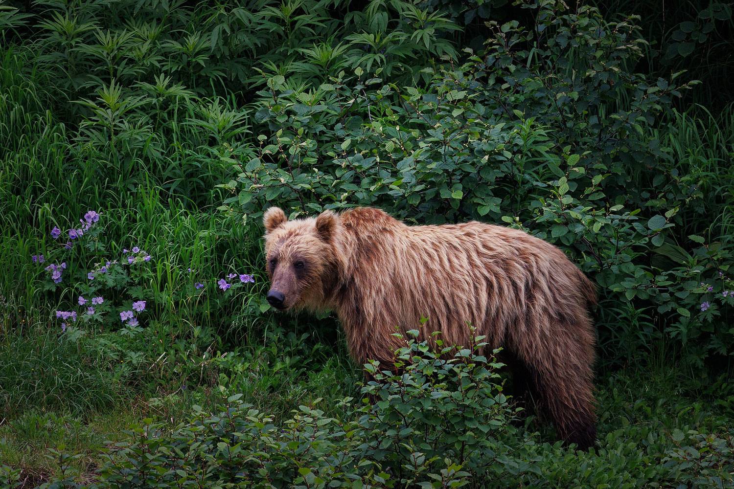 , Морозов Сергей