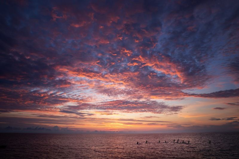Наблюдатели фото превью