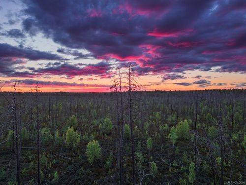 Призраки пожара