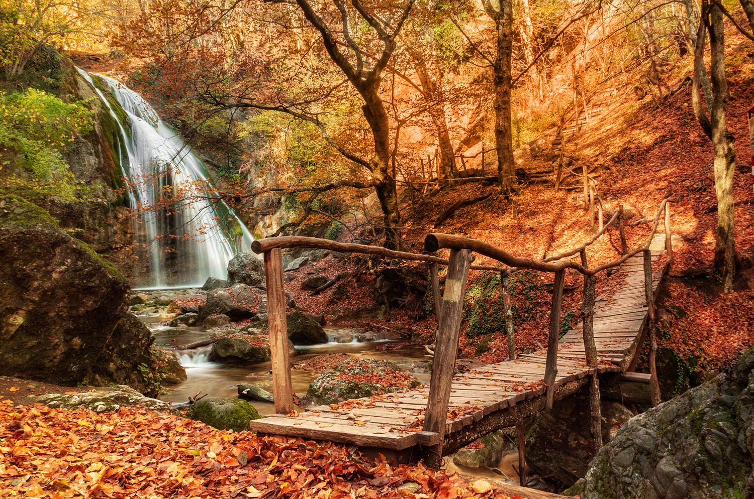 , Лариса Дука