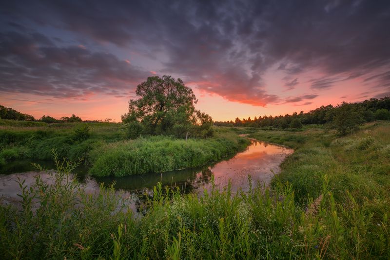Утро у реки... фото превью