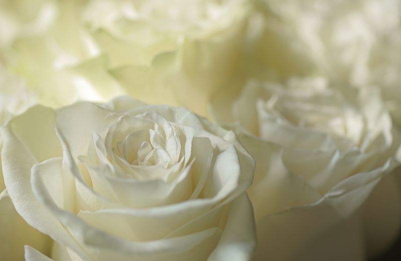 Утро фото превью