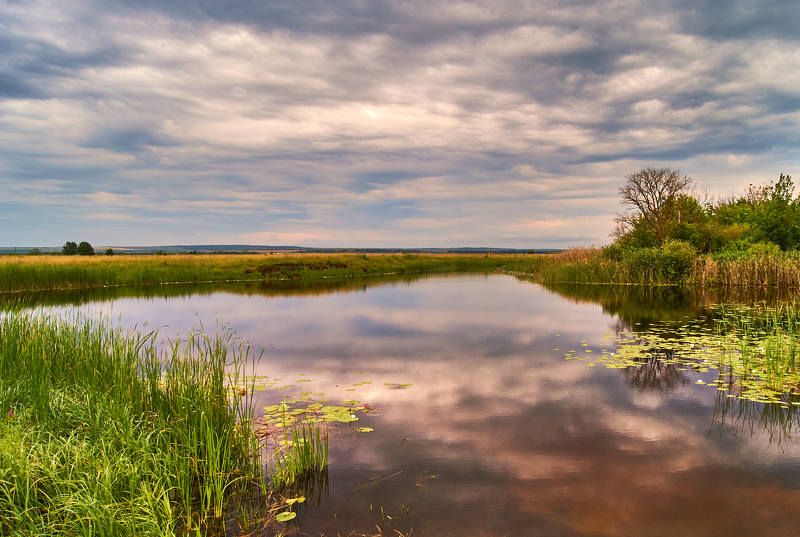 В начале и в конце лета. фото превью