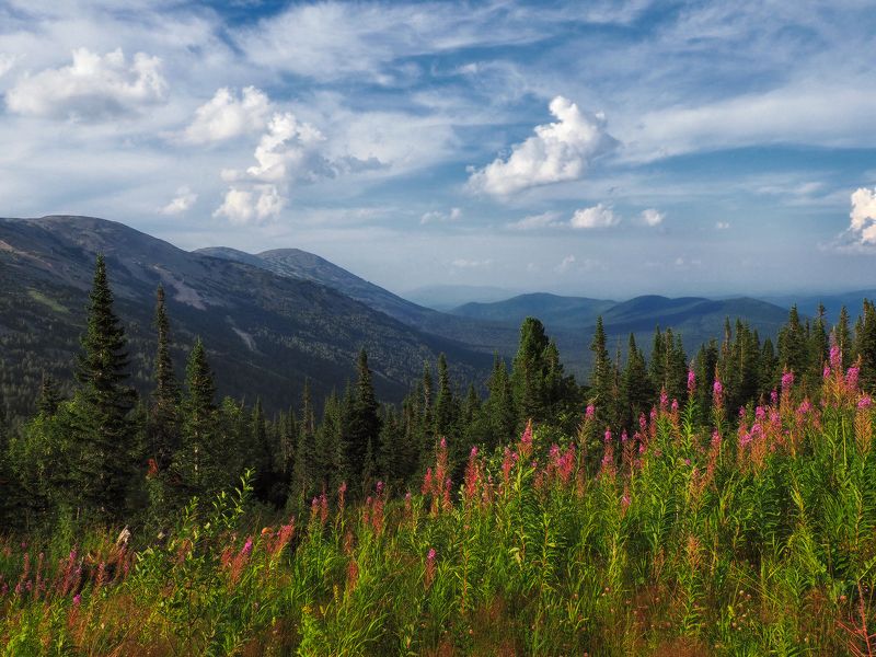 горная шория, шерегеш, сибирь Горная Шория фото превью