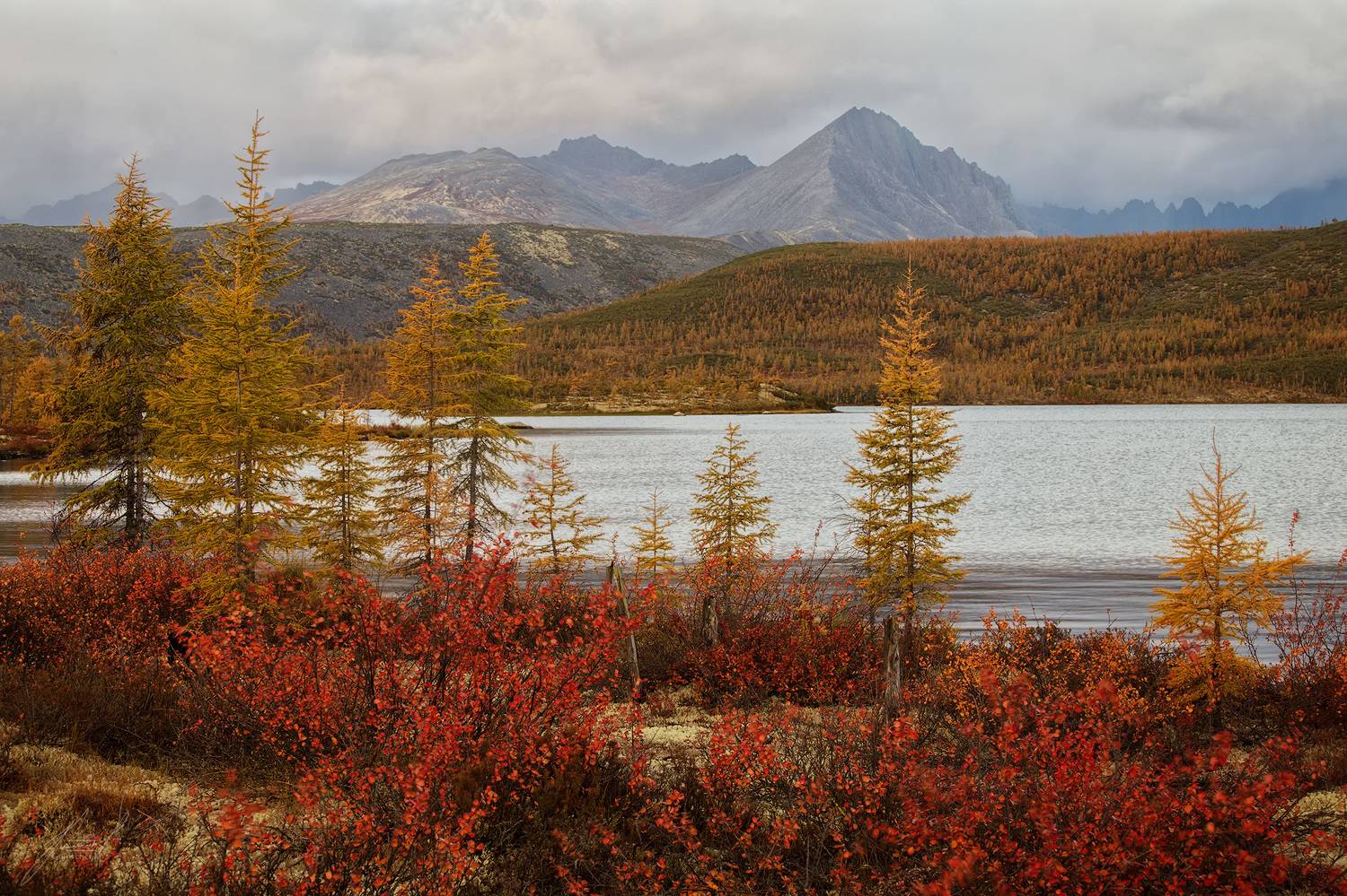 , Головченко Юрий