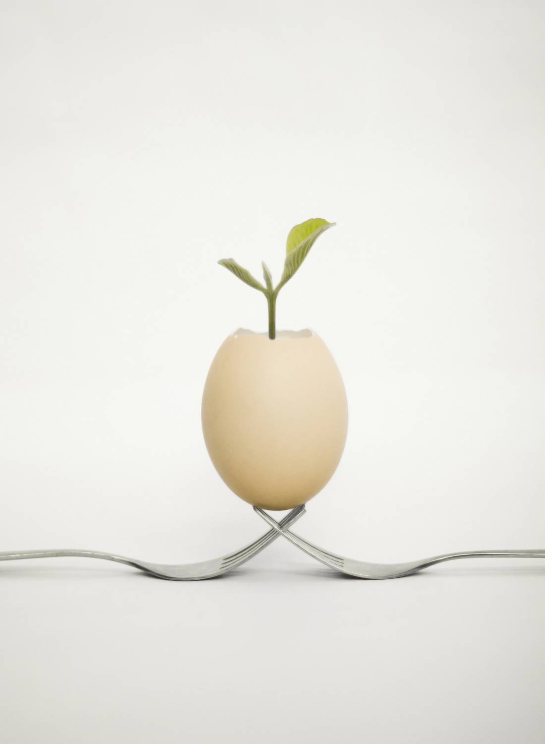 , Alex Yungan Harahap