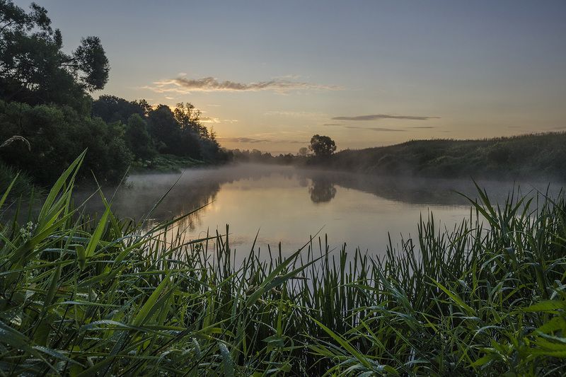 лето, утро, рассвет, река упа, якшино Тихая заводь фото превью