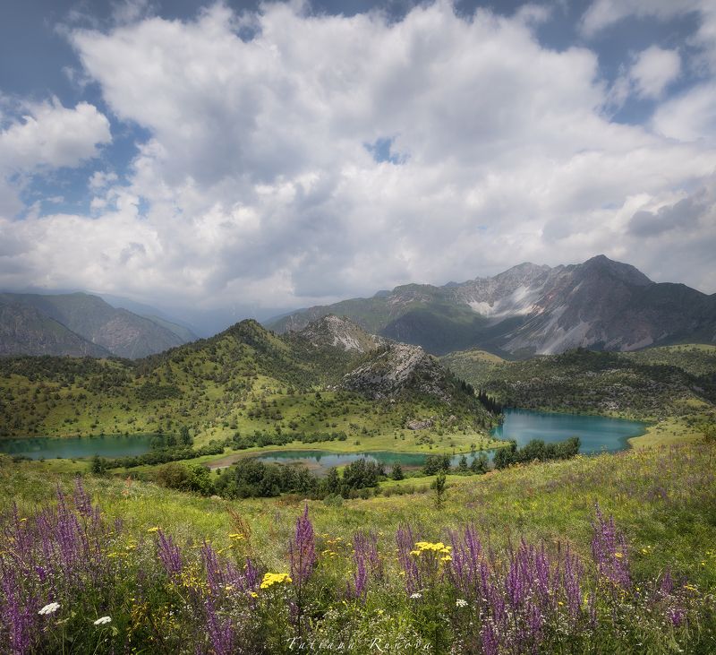 В цветах среди озер..... Киргизия фото превью