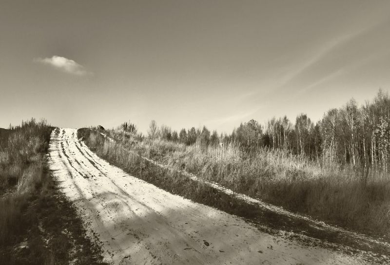 Дорога фото превью