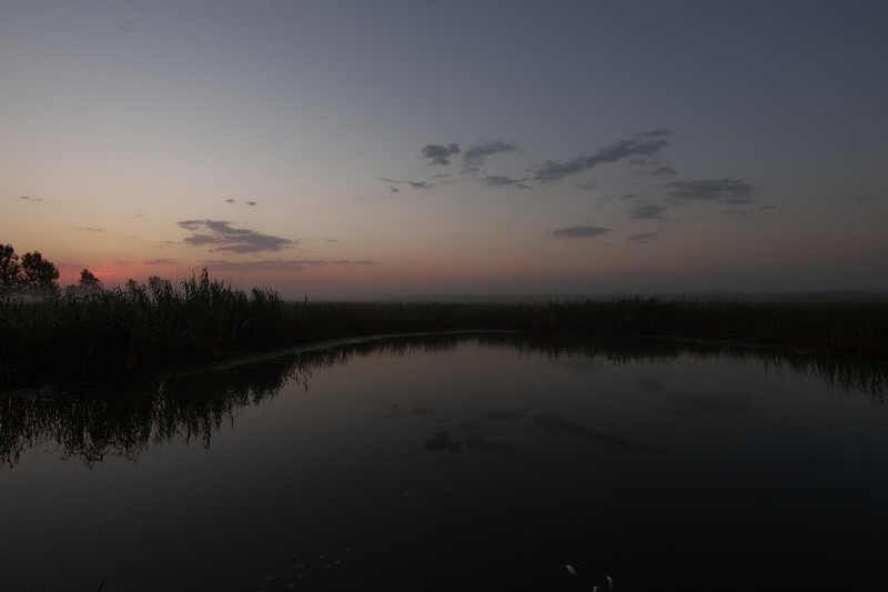 # фото превью