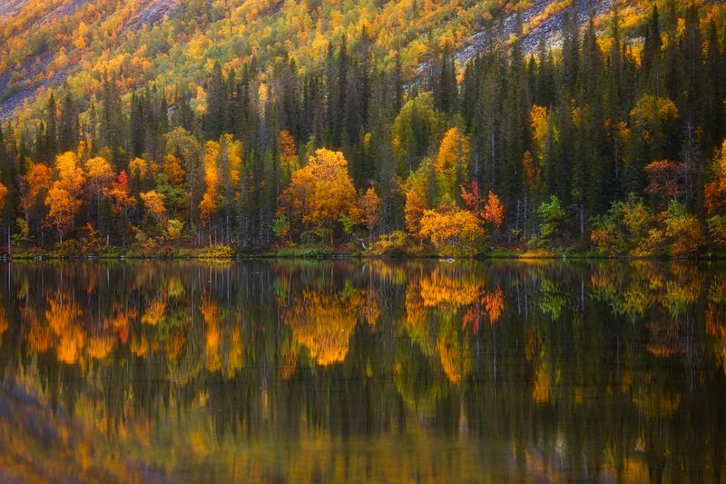 Отражения фото превью