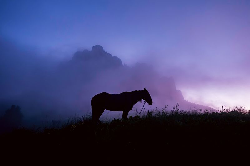 * фото превью