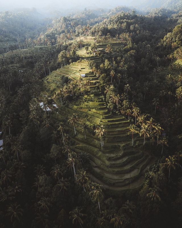 Fiji фото превью