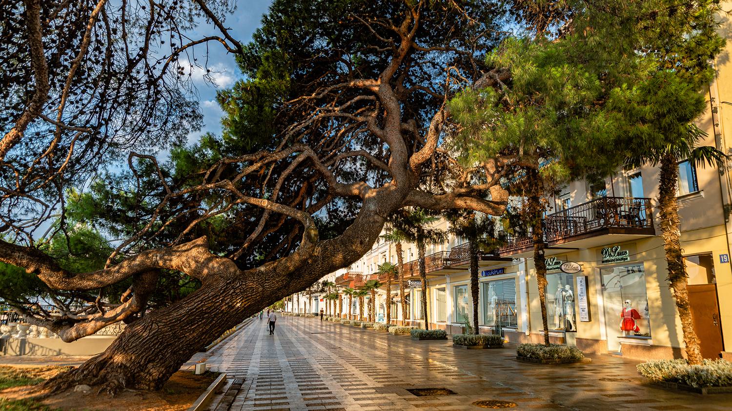 , Владимир Ноздрачев