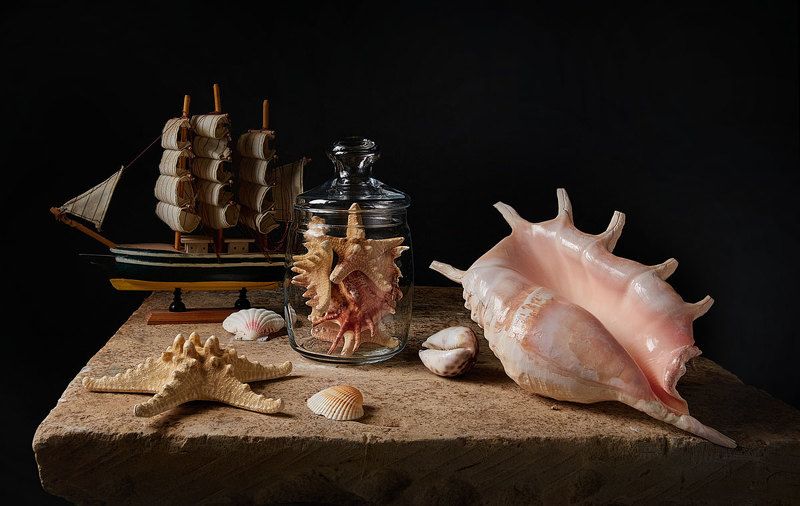 Натюрморт с раковиной Lambis Truncata фото превью