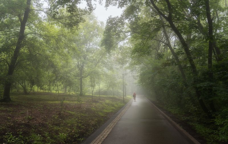 лето, утор, парк В парке фото превью
