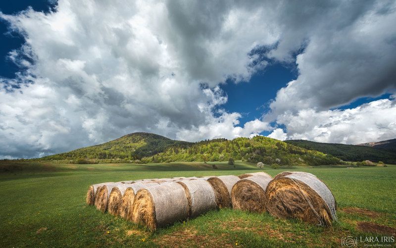 Pastoral фото превью