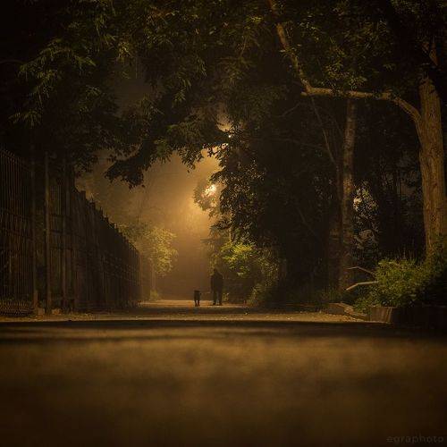 Ночь, туман, асфальт... Владивосток