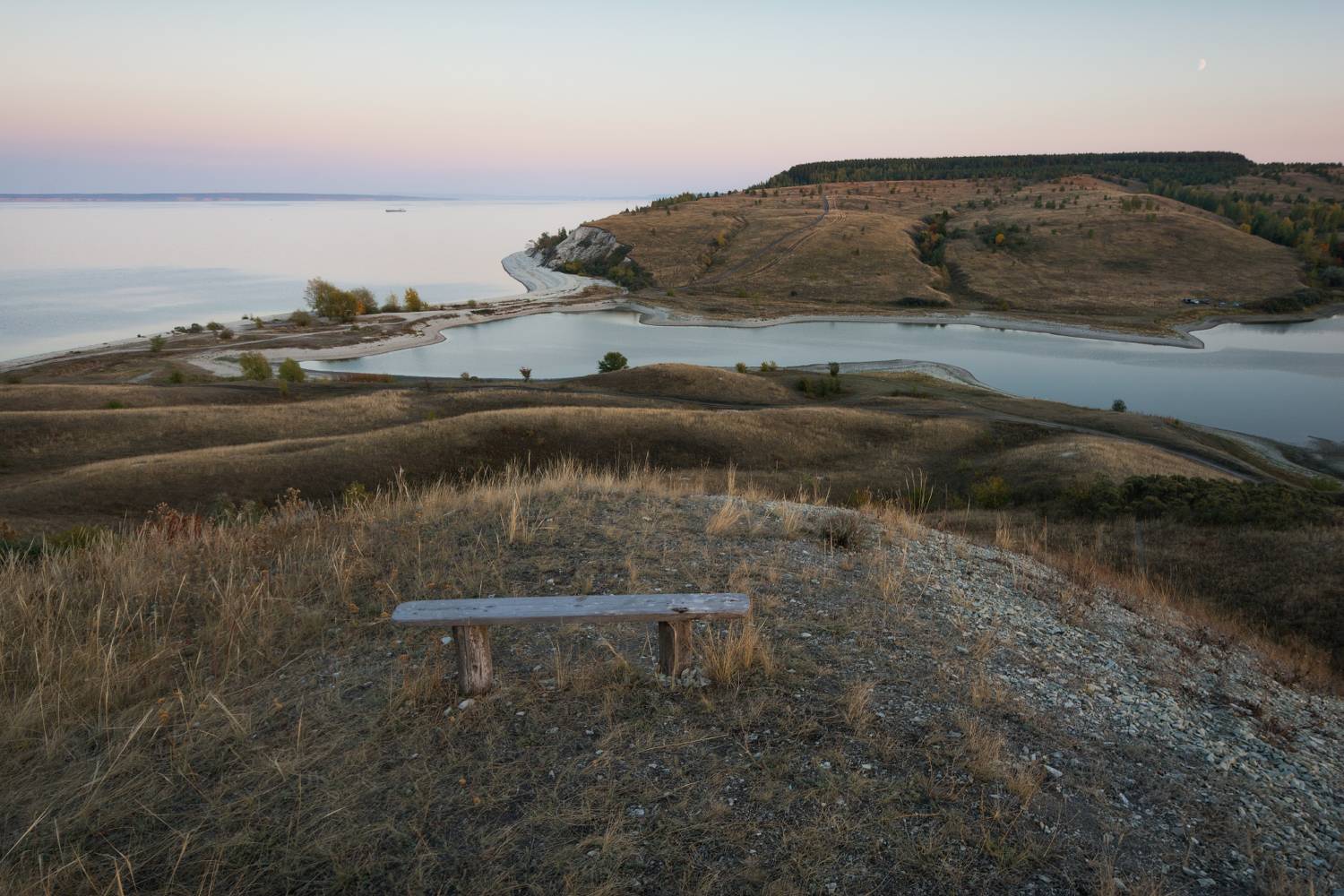 , Алексей Проняхин