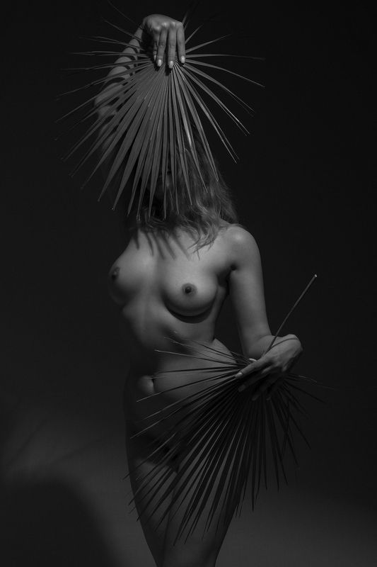 2024 фото превью