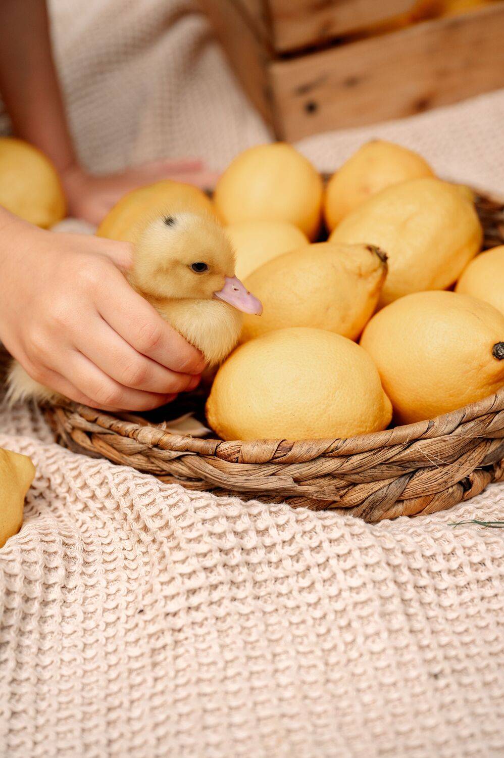 , Victoria Muslimova