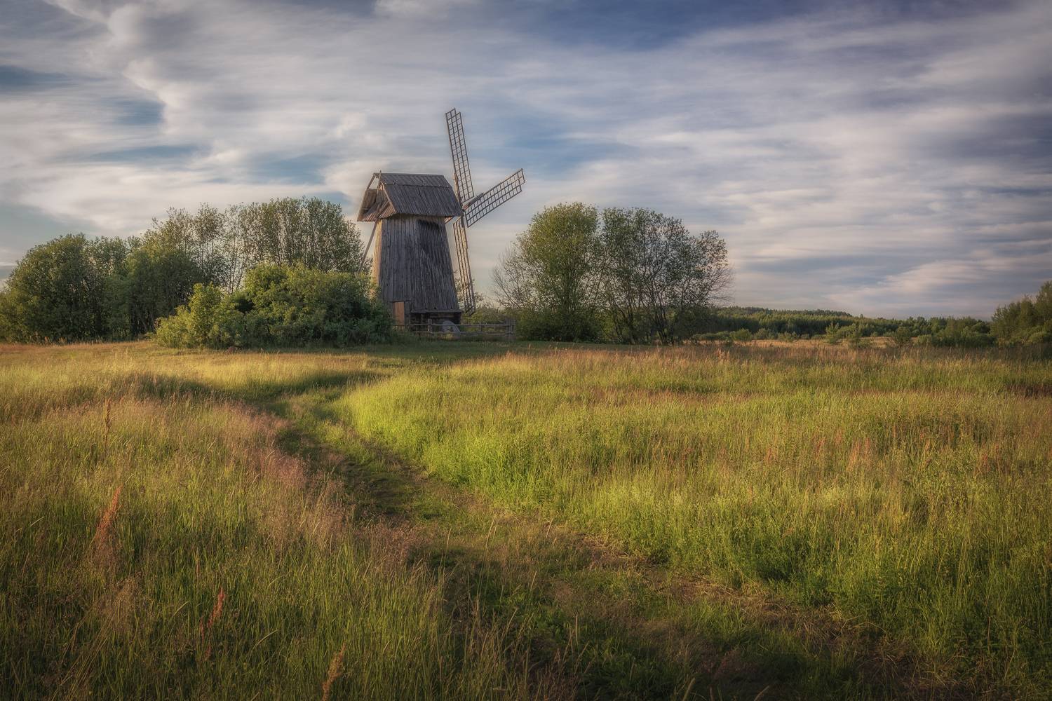 псковская, область, Гусева Елена