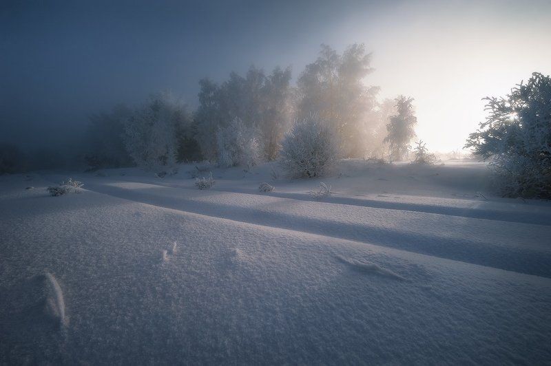 В декабре... фото превью