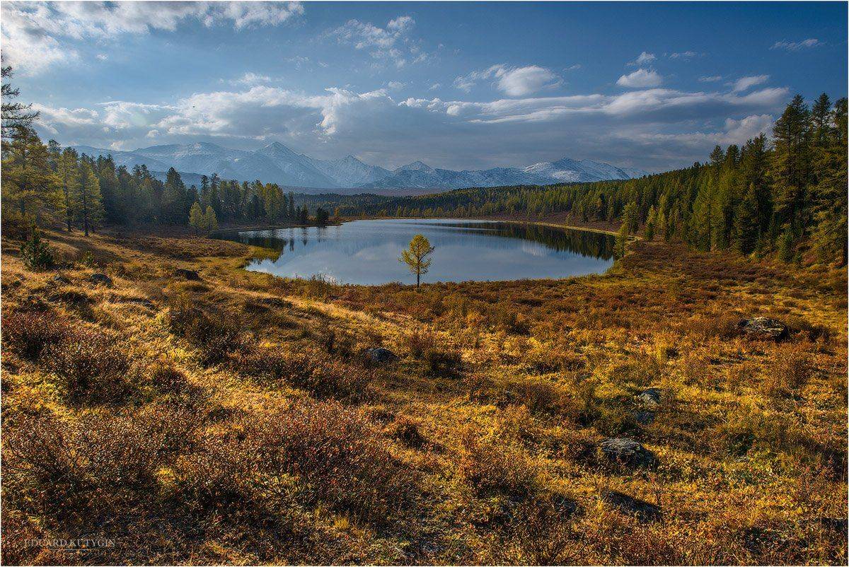 , Кутыгин Эдуард