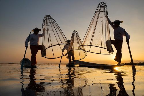 Fishing (Inle myanmar)