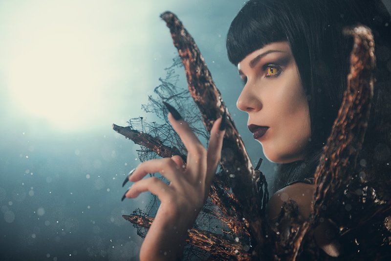 Dragon фото превью