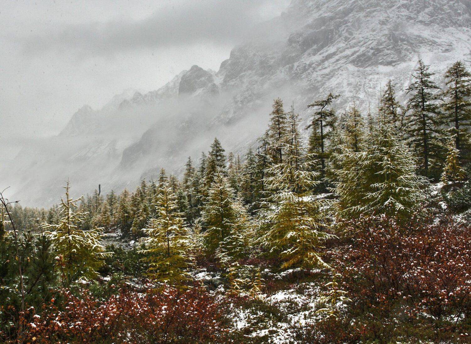 , Виктор Белименко