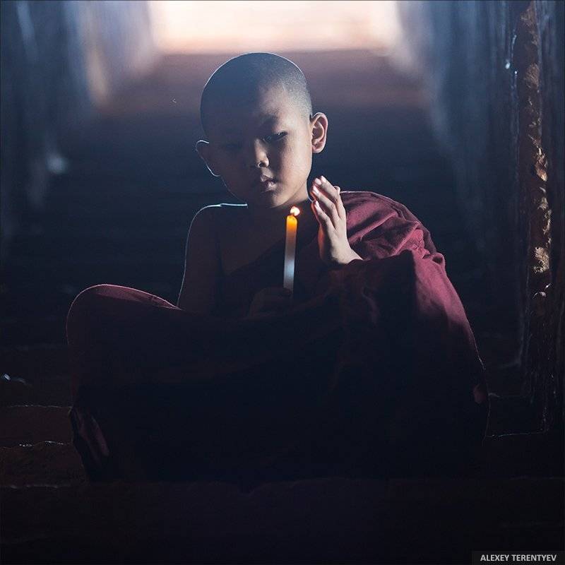 , Алексей Терентьев